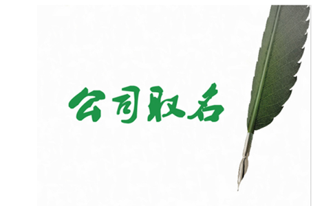 河南掌上登記名稱登記上傳資料哪里必須填嗎？
