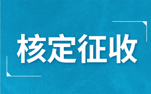 江西大額個(gè)體戶核定征收標(biāo)準(zhǔn)，2024年最新政策